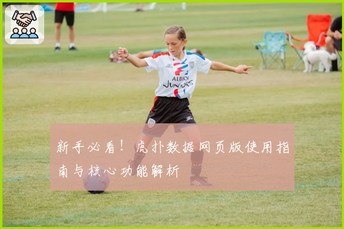 新手必看！虎扑数据网页版使用指南与核心功能解析