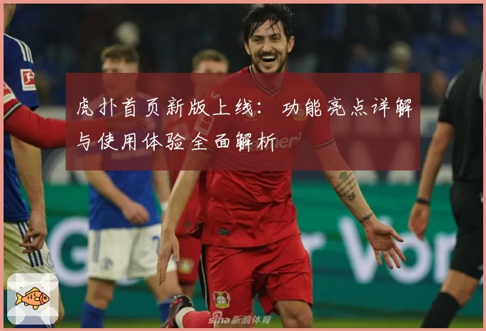 虎扑首页新版上线：功能亮点详解与使用体验全面解析