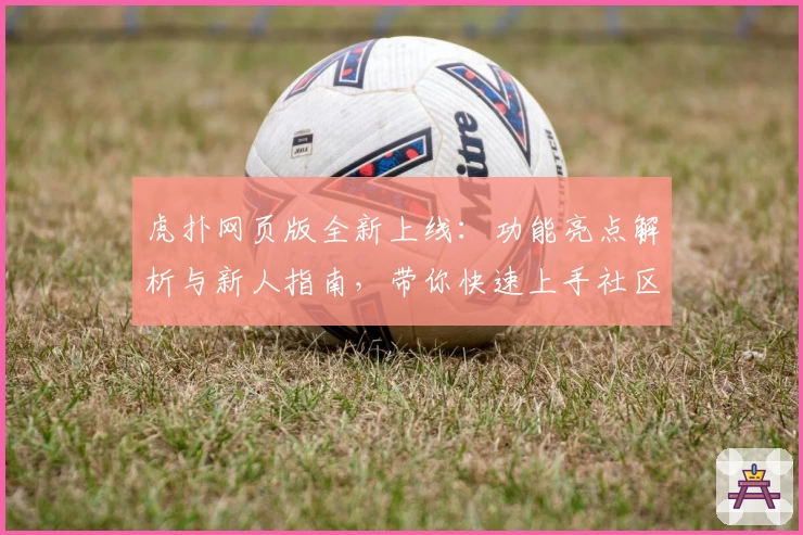 虎扑网页版全新上线：功能亮点解析与新人指南，带你快速上手社区互动新体验
