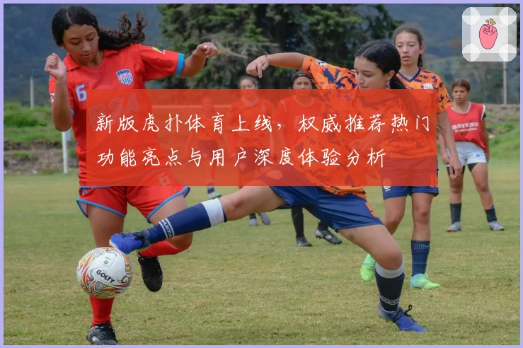 新版虎扑体育上线，权威推荐热门功能亮点与用户深度体验分析