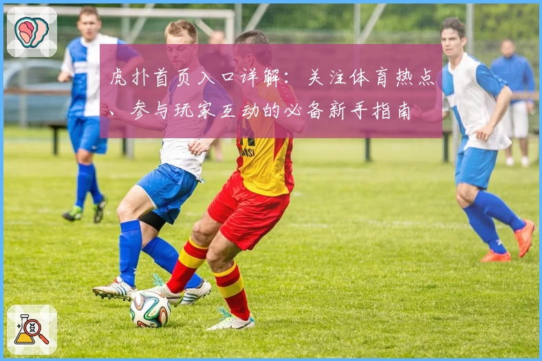 虎扑首页入口详解：关注体育热点、参与玩家互动的必备新手指南